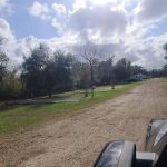 Sweeny Old Ocean Rv Park