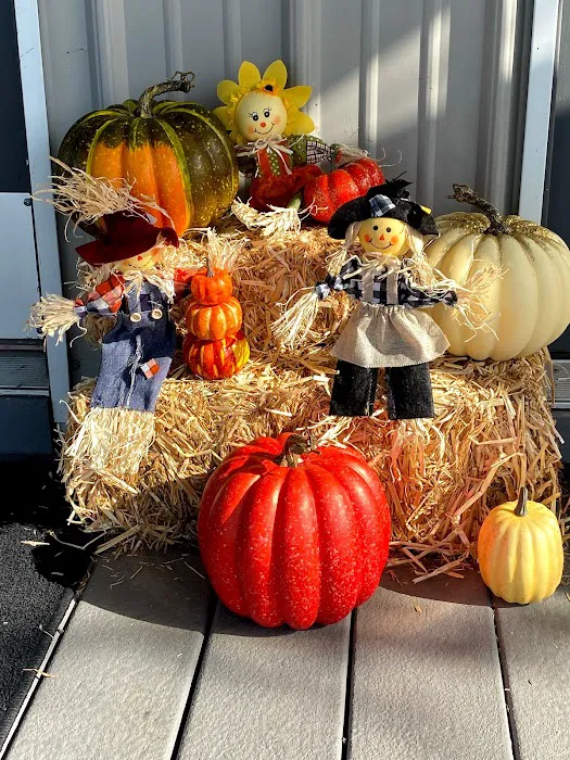 Country Living RV Park Wharton Picture 1