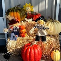 Country Living RV Park Wharton ico