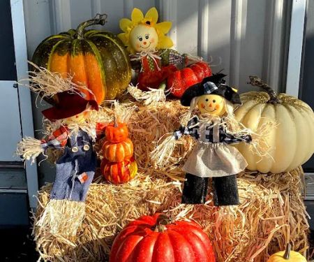 Country Living RV Park Wharton