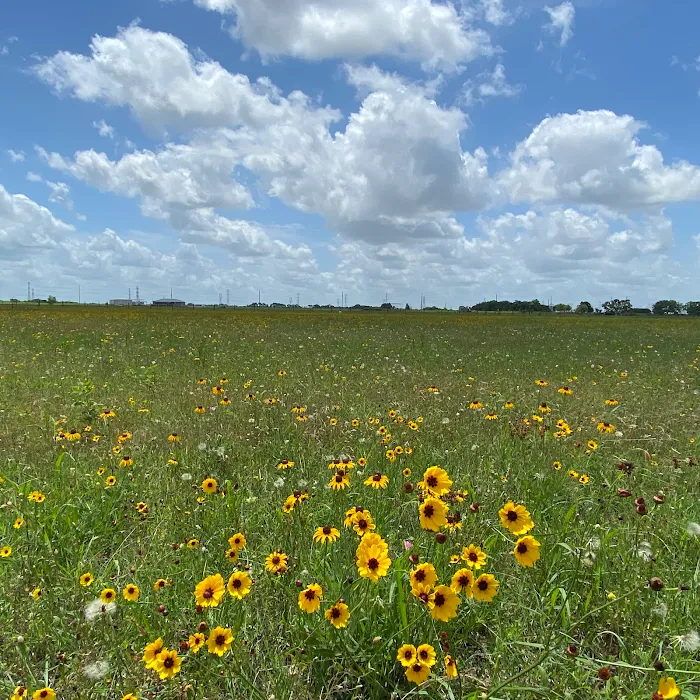 Country Living RV Park Wharton Picture 10