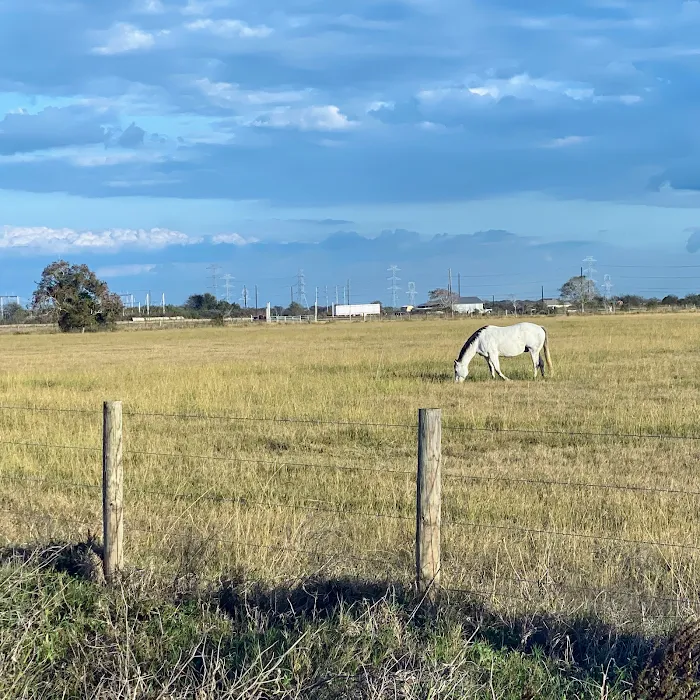 Country Living RV Park Wharton Picture 8