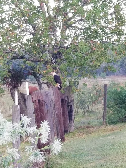 Half Circle C RV Park Picture 4