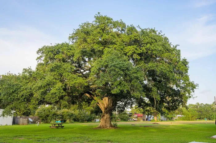 Trails End RV Park of Texas Picture 8
