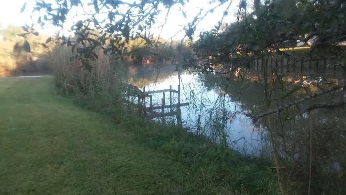 Bayou Oaks RV Park by QRV Picture 4