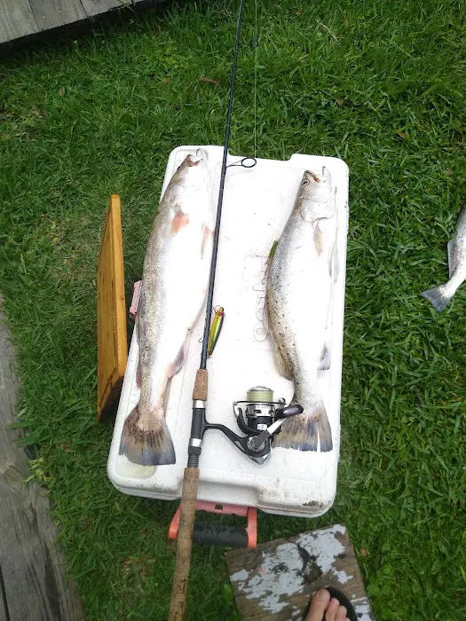 Fish Camp RV Park Picture 9