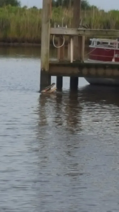 Fish Camp RV Park Picture 7