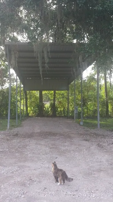 Paradise Lost RV Park Picture 5