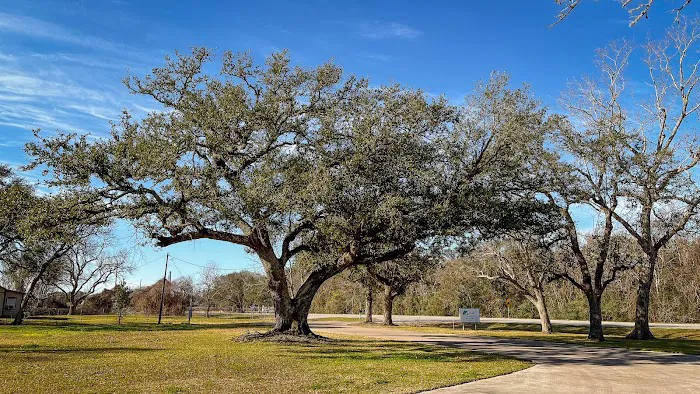 Quilly's Cozy Traveler RV Park Picture 9