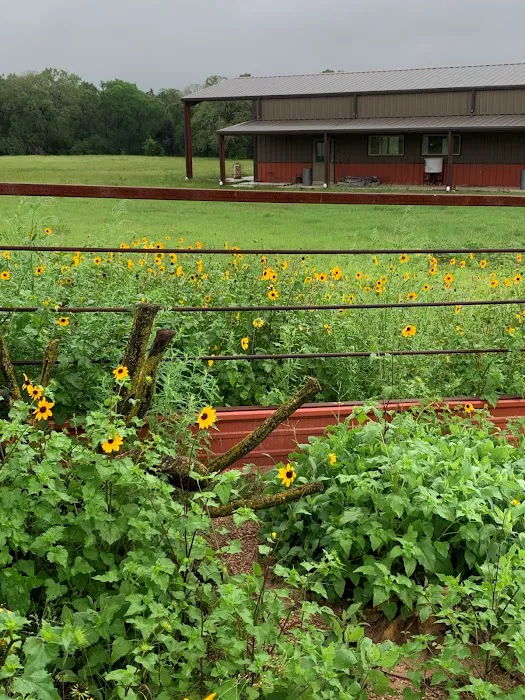 The Crossroads at 290 RV Park Picture 1