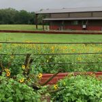 The Crossroads at 290 RV Park