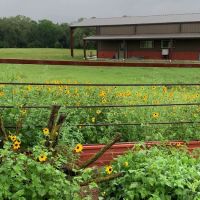 The Crossroads at 290 RV Park ico