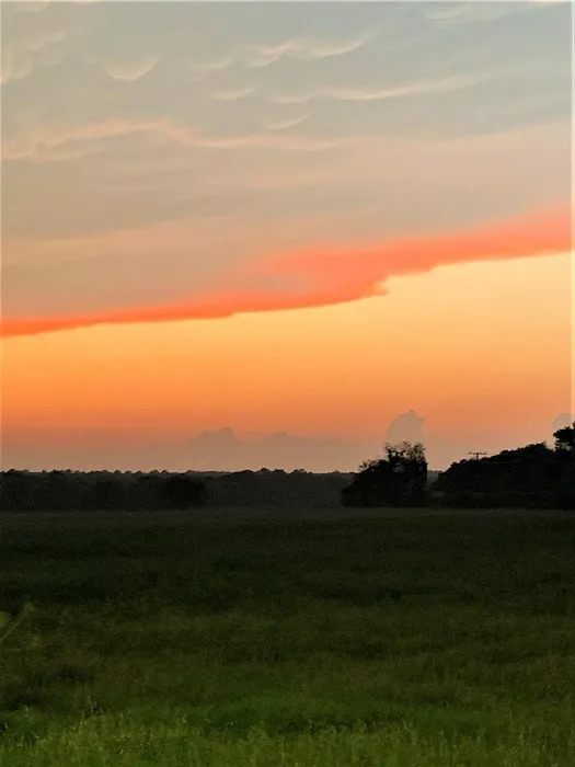 The Crossroads at 290 RV Park Picture 2