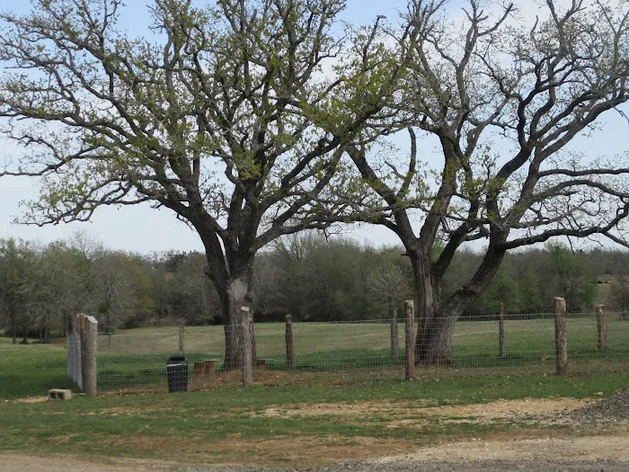 Hwy 21 RV Park and Storage Picture 7