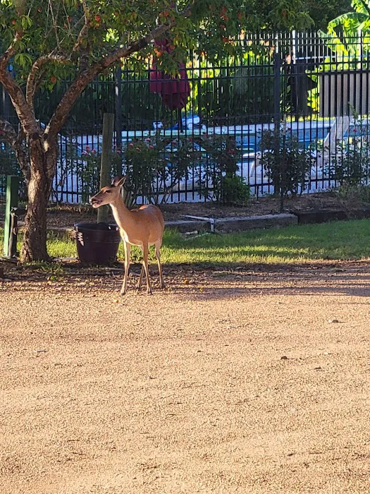 Colorado Landing RV Park Picture 3