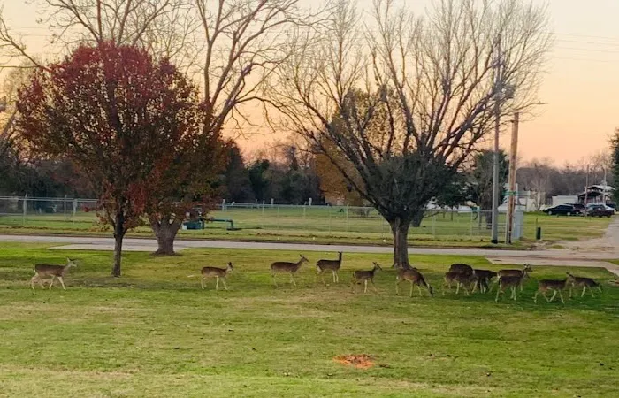 Country Way Village Mobile Home Park Picture 6