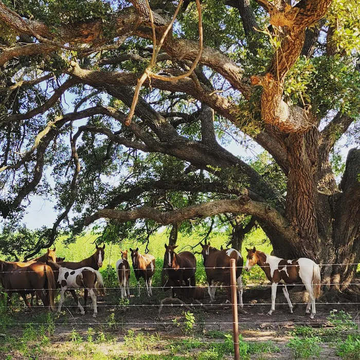 Tuck Stop RV Picture 4