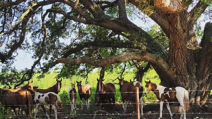 Tuck Stop RV Picture 3