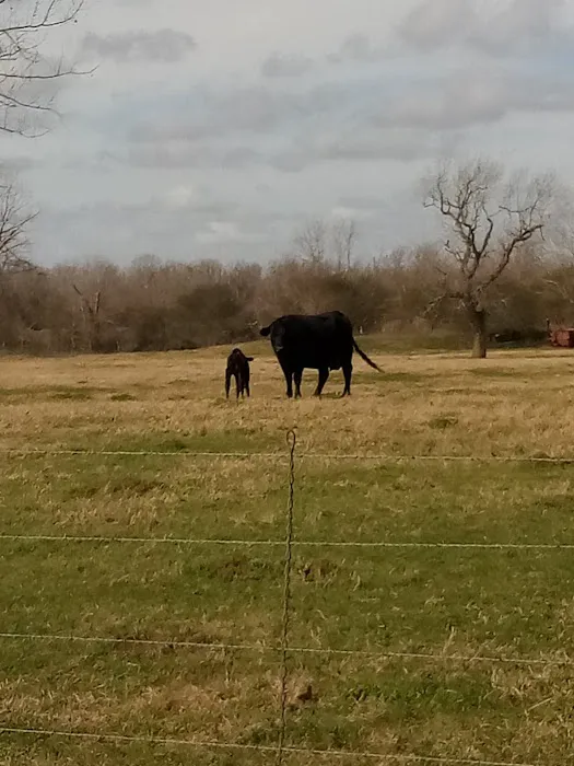 Columbus RV Park & Campground Picture 9