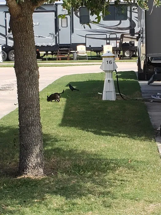 Pincher's RV Park Picture 2