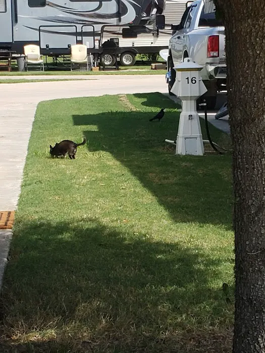 Pincher's RV Park Picture 3