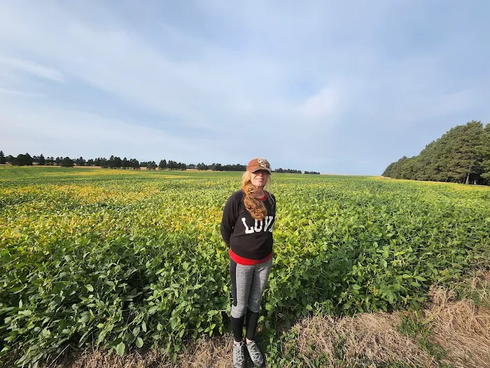 Creekside RV Ranch Picture 10