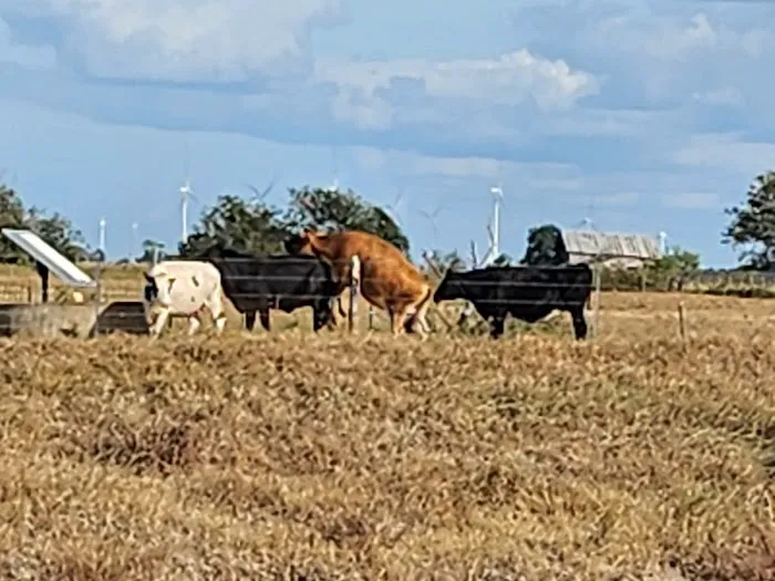 Creekside RV Ranch Picture 4