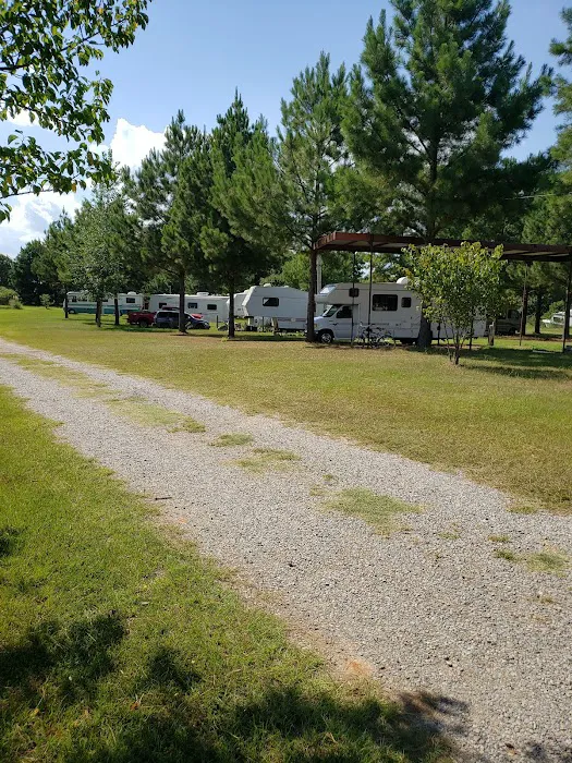 Dragon RV Picture 2