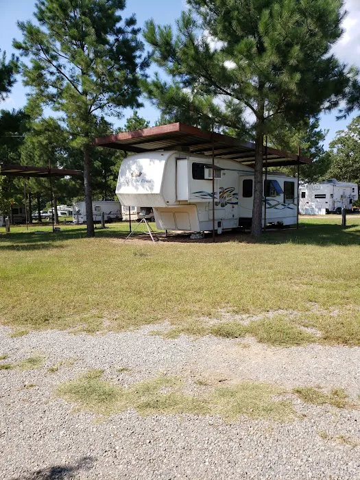 Dragon RV Picture 3