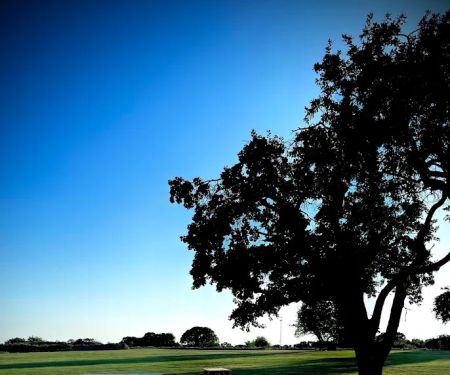 LakeTexoma HillTop RV Resort