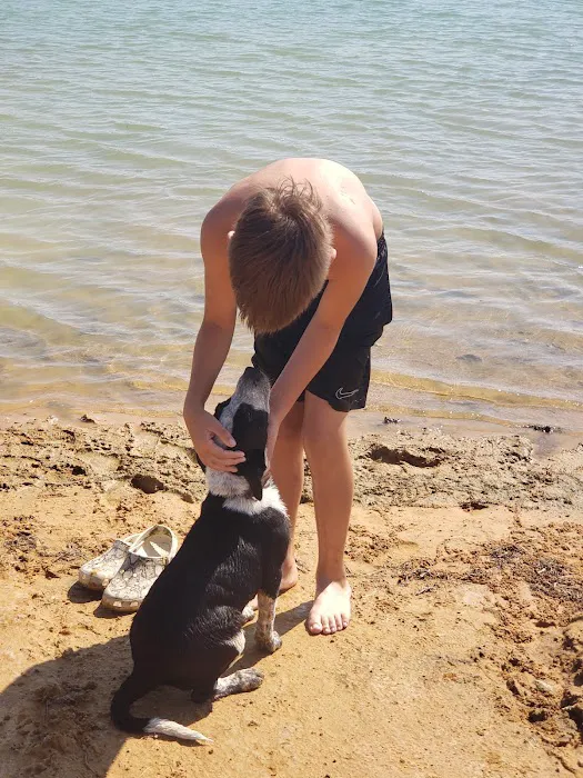 LakeTexoma HillTop RV Resort Picture 6