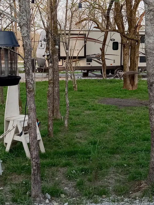 Tall Pines RV Park Picture 3