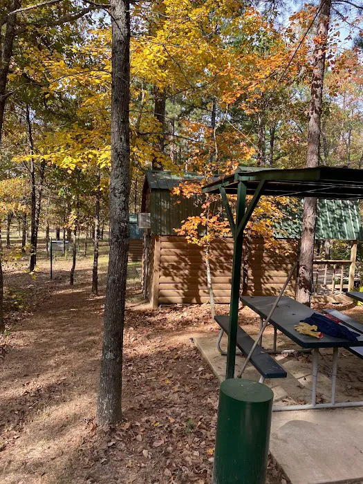 Coffey Creek Cabin Picture 7