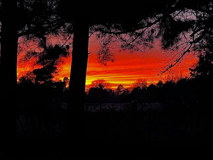 Coffey Creek Cabin Picture 8