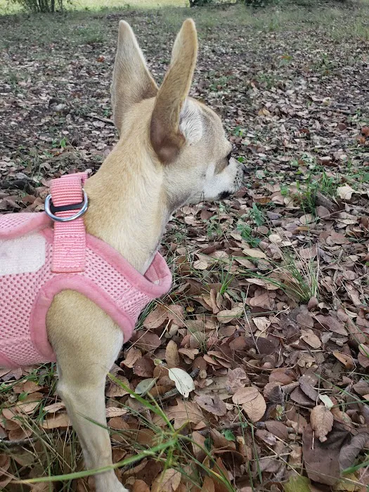 Texas Station RV Park Picture 2