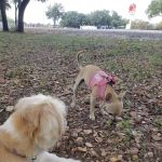 Texas Station RV Park