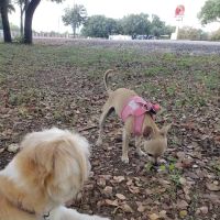 Texas Station RV Park ico