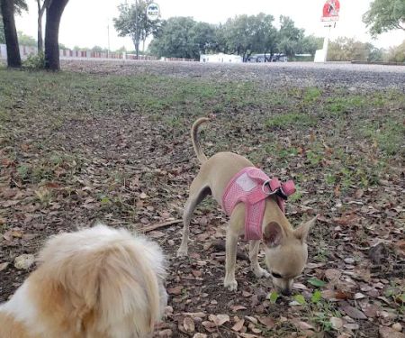 Texas Station RV Park