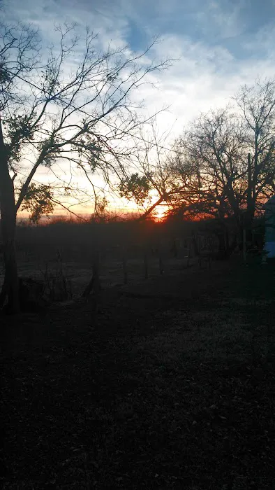 Thorp Travel Trailer Park Picture 2