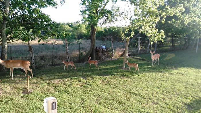 Thorp Travel Trailer Park Picture 4