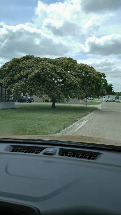 Pecan Village Mobile Home Comm Picture 4