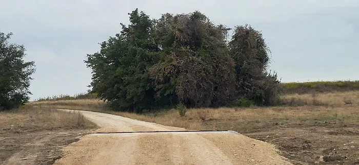 Pidcoke RV Park Picture 3