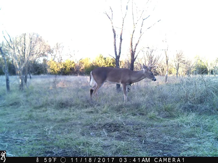 Pidcoke RV Park Picture 8