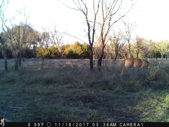 Pidcoke RV Park Picture 2