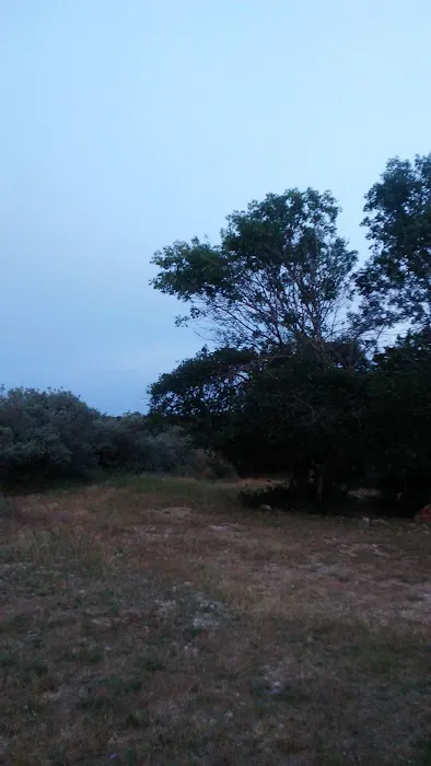 Gypsy Place RV Park Picture 3