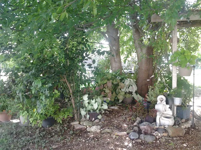 Ancient Oak Mobile Home Park Picture 4