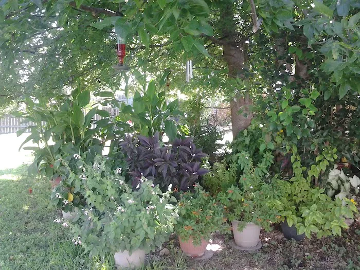 Ancient Oak Mobile Home Park Picture 6