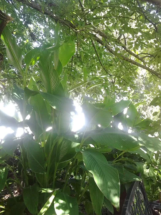 Ancient Oak Mobile Home Park Picture 2