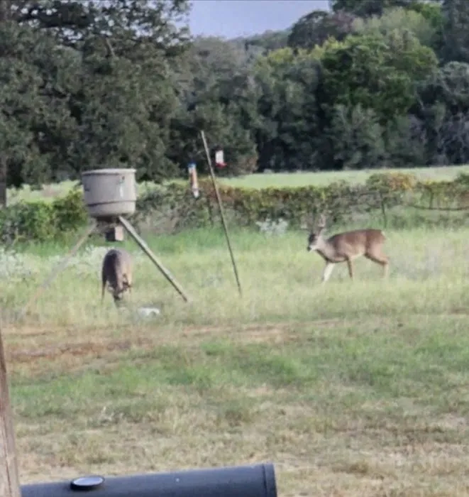 McDade RV Park Picture 6