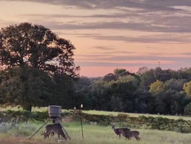 McDade RV Park Picture 2